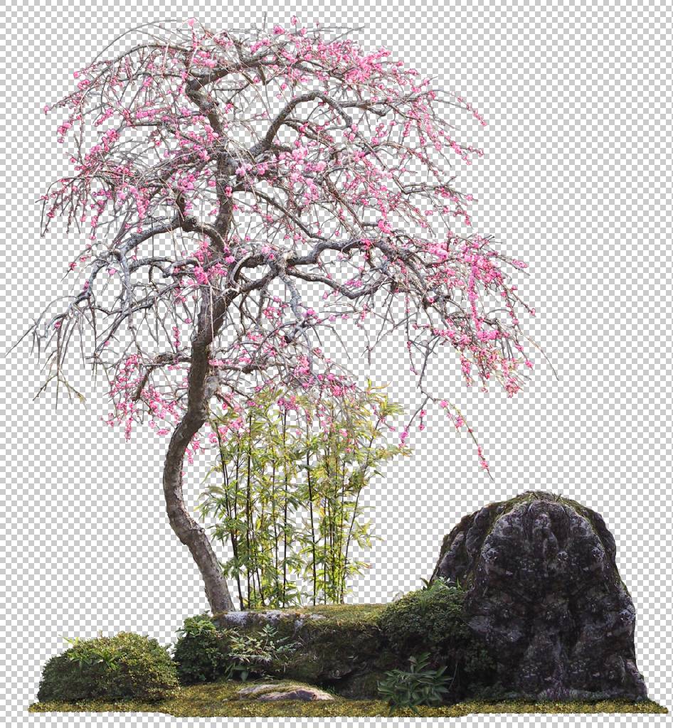 小树枝PaintShop Pro,红花石竹背景材料,粉红色和棕色树旁绿色竹免抠 